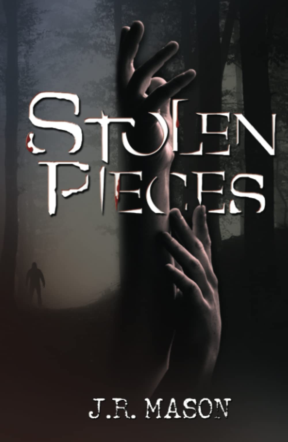 Stolen Pieces